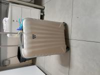 CS1684/2025 GOLD RONCATO TROLLEY